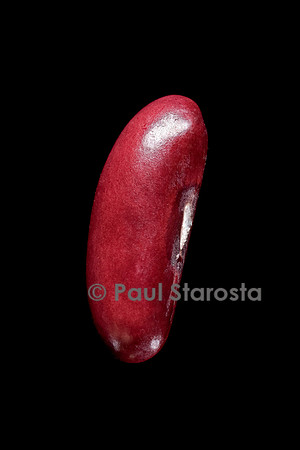 Phaseolus vulgaris (haricot) Flageolet rouge