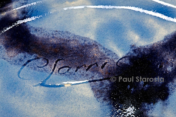Signature Giselle Garric