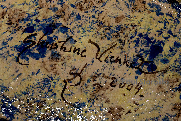 Signature Christine Viennet