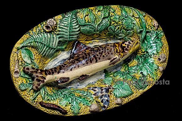 Bassin ovale fond jaune, truite tigrée et papillon