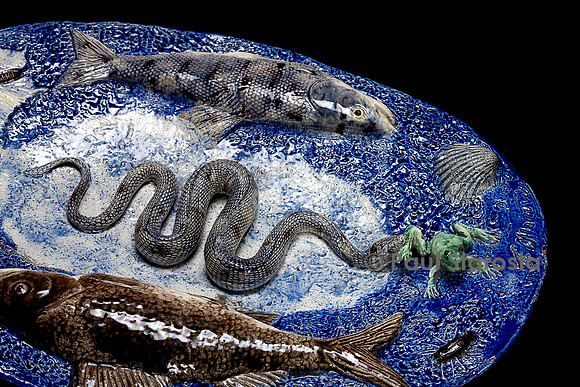Plat sur fond bleu pointillé avec serpent attrapant une rainette