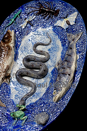 Plat sur fond bleu pointillé avec serpent attrapant une rainette