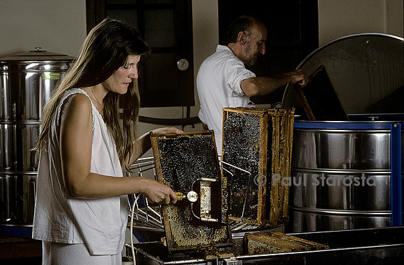 Extraction (désoperculation)