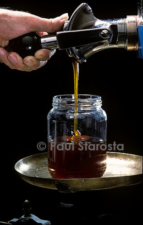 Miel mis en pot
