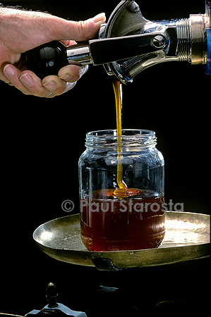 Miel mis en pot