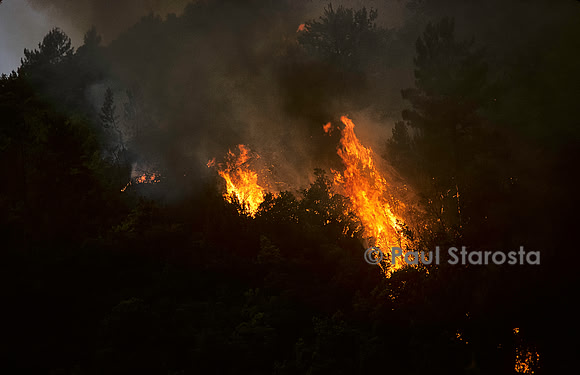 Incendie de forêt