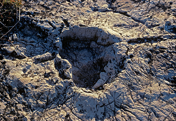 Trace de pas d'un dinosaure