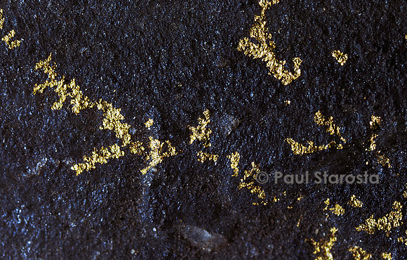 Or natif sur du quartz