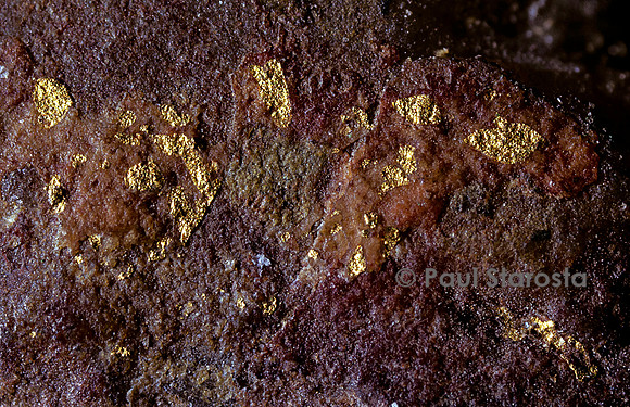 Or natif sur du quartz