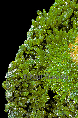Pyromorphite