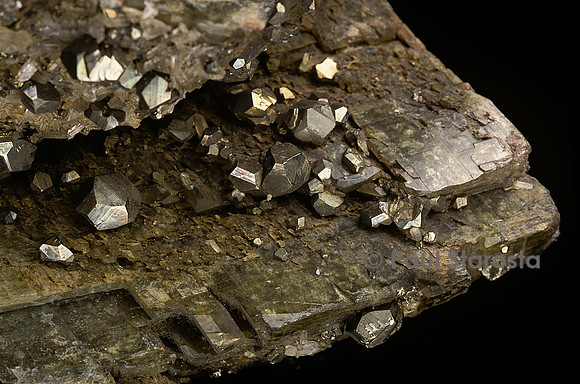 Sidérite et pyrite
