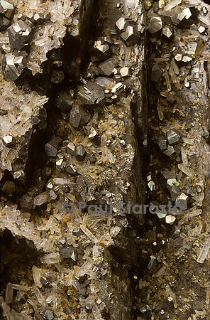 Sidérite et pyrite