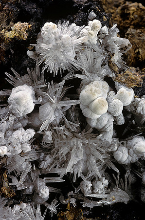 Aragonite