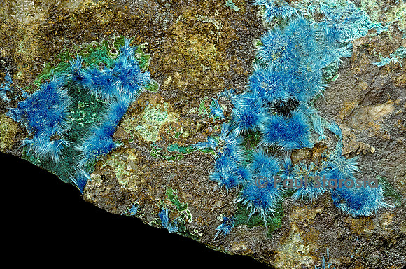 Cyanotrichite