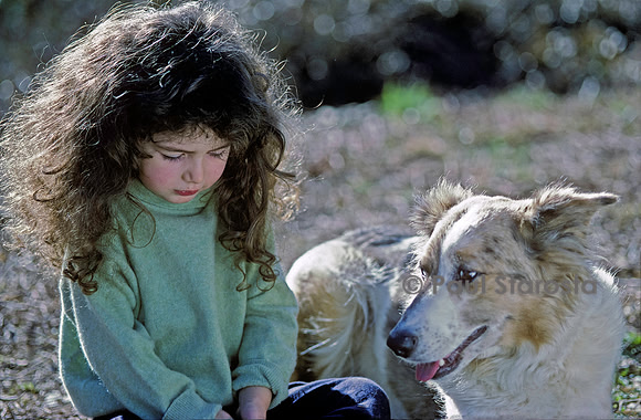 4 ans - le chien