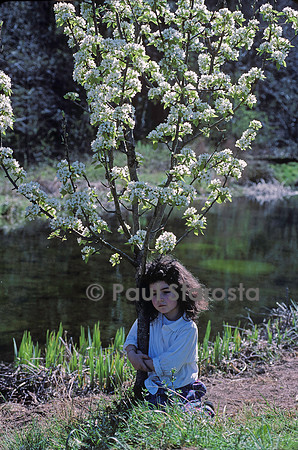5 ans - le poirier