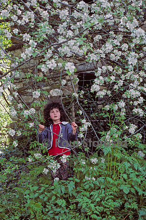 6 ans - le pommier
