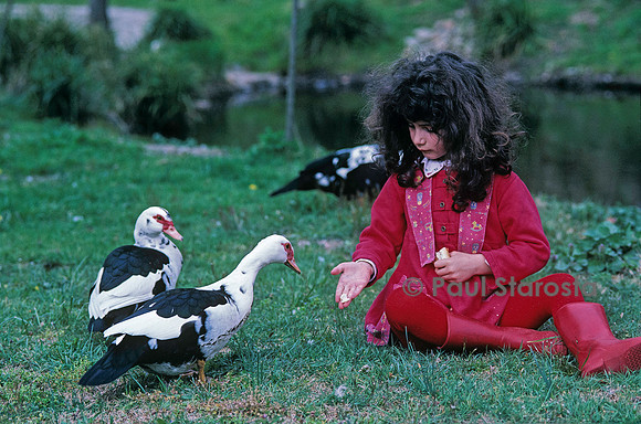 6 ans - les canards