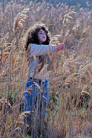 6 ans - les phragmites