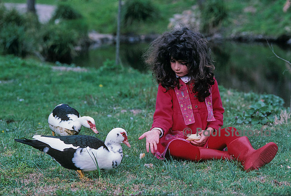 6 ans - les canards