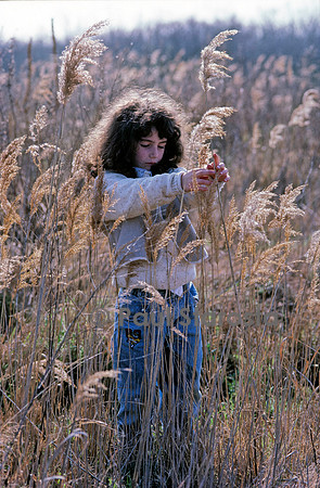 6 ans - les phragmites