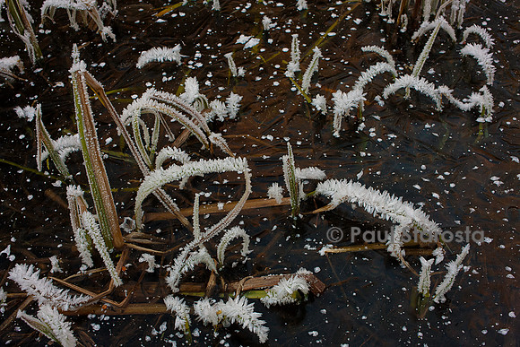 Surface d'un étang gelé avec cristaux de givre