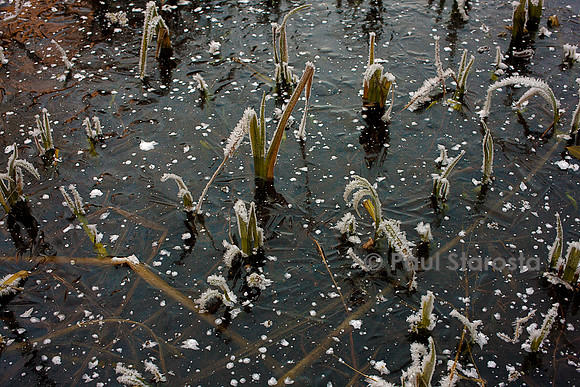 Surface d'un étang gelé avec cristaux de givre