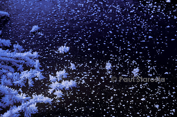 Surface d'un étang gelé avec cristaux de givre