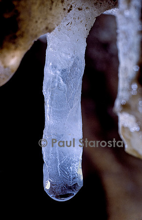 Stalactite en fourmation