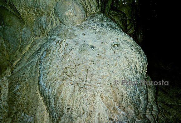 Concrétions calcaires dans une grotte - pisolithe, perle des cavernes