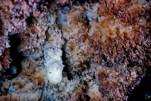 Concrétions calcaires dans une grotte