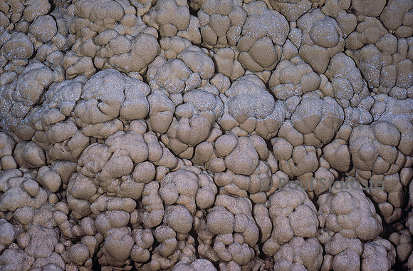 Concrétions calcaires dans une grotte - pisolithe, perle des cavernes
