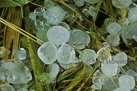 Grêlons dans l'herbe