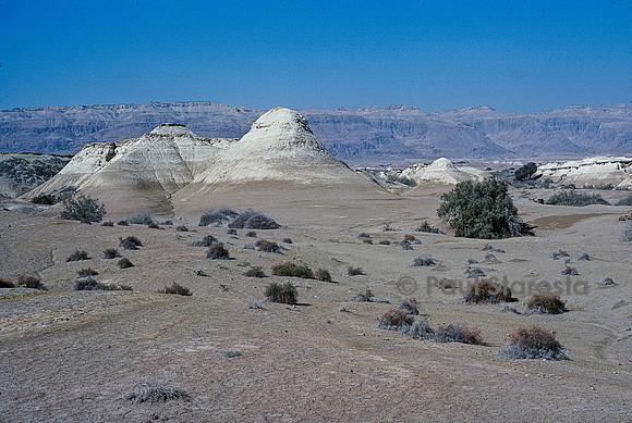 Paysage désertique dans la région de la Mer Morte (Israël)