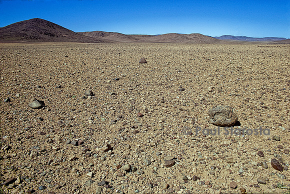 Désert de pierres au Sahara (reg) - Maroc
