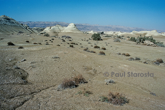 Paysage désertique dans la région de la Mer Morte (Israël)