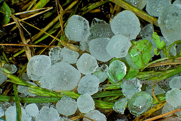 Grêlons dans l'herbe