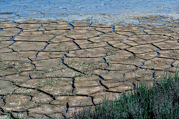 Argile craquelée en bordure d'étang