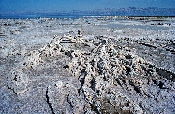 Dépôt de sel au bord de la Mer Morte