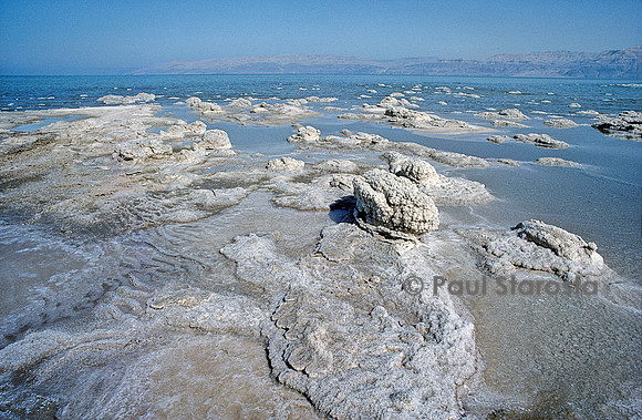 Dépôt de sel au bord de la Mer Morte