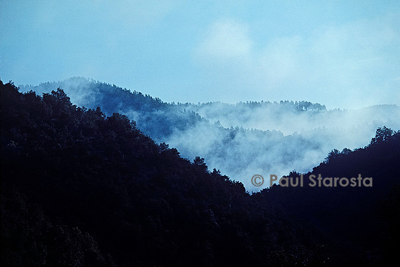 Brouillard