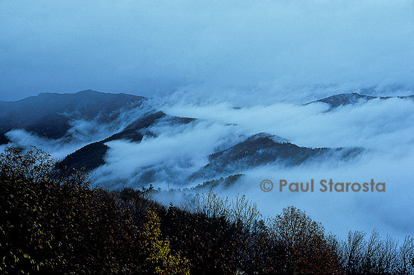 Brouillard