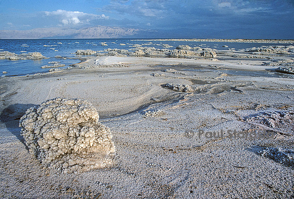 Dépôt de sel au bord de la Mer Morte