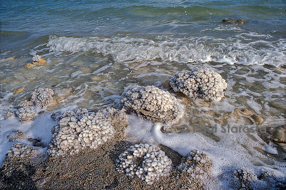 Dépôt de sel au bord de la Mer Morte
