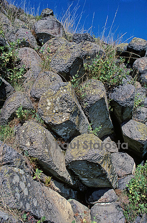 Orgues basaltiques