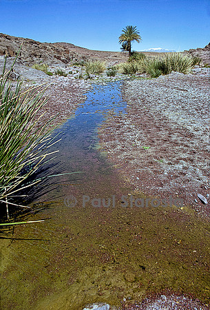 Petit oued saharien