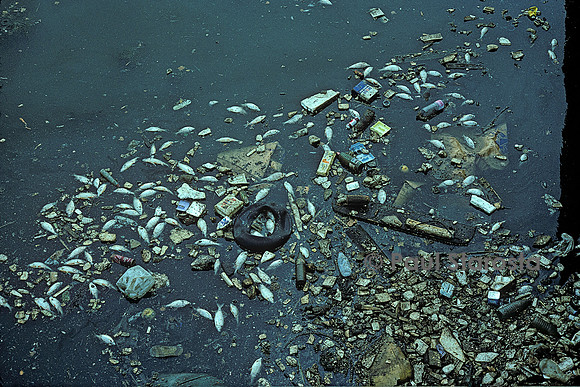 Rivière polluée