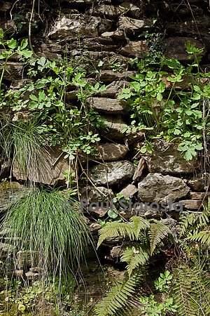 Vieux mur de pierres sèches