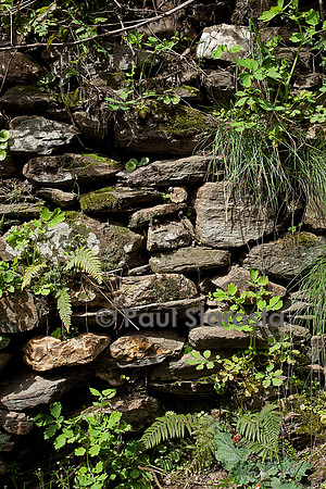 Vieux mur de pierres sèches