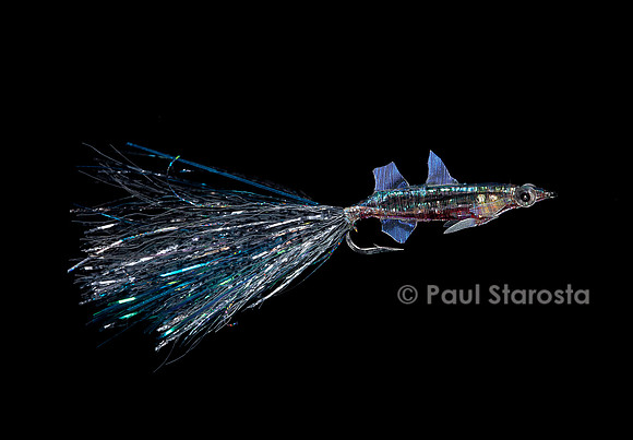 Mouche de pêche - poisson